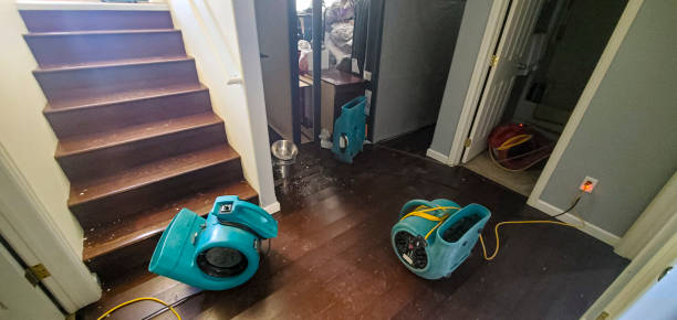 Best Professional water damage repair  in Leith Hatfield, PA