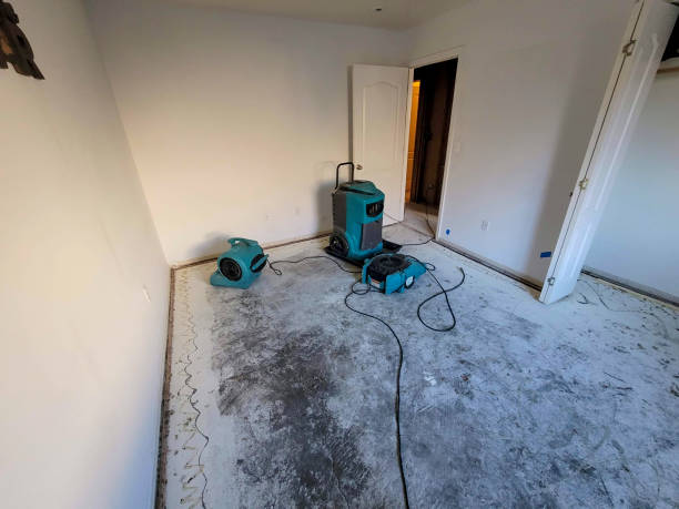 Best Water damage cleanup near me  in Leith Hatfield, PA