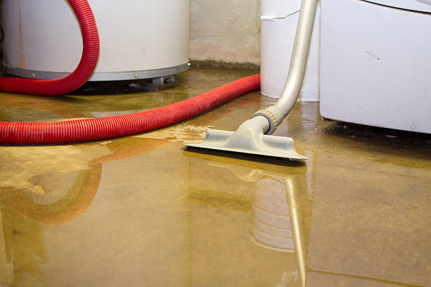 Best Basement water damage restoration  in Leith Hatfield, PA